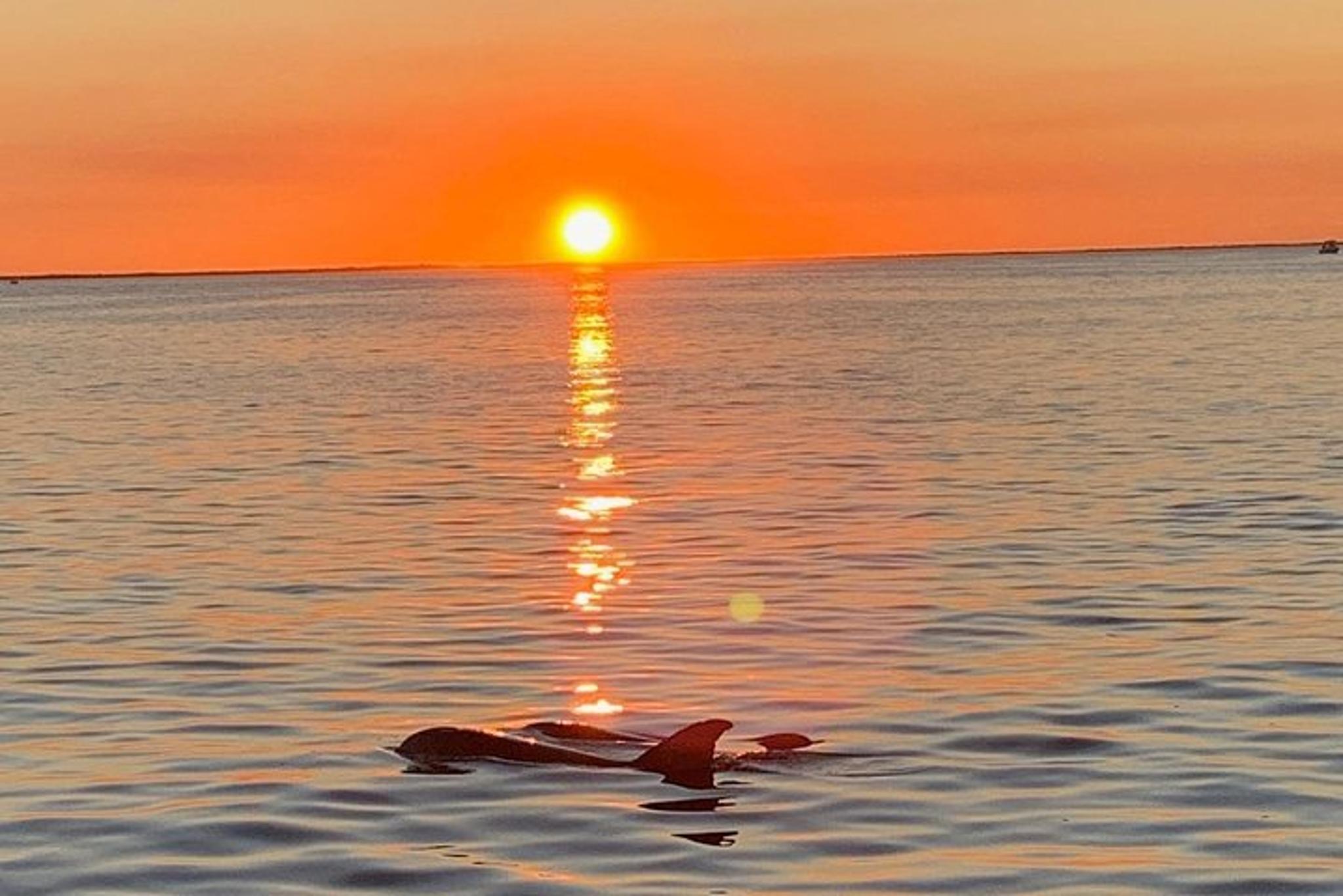 Key Largo Sunset Cruise - Image 6