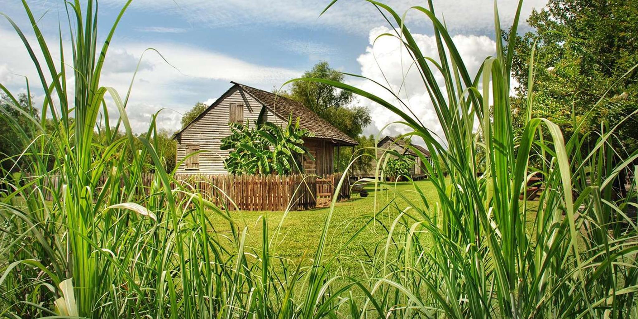 New Orleans Whitney Plantation Tour with Transportation - Image 5