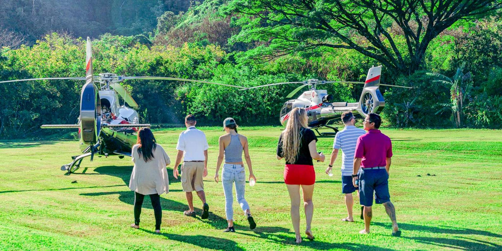 Maui Helicopter Tour with Hana Rainforest Landing - Image 2