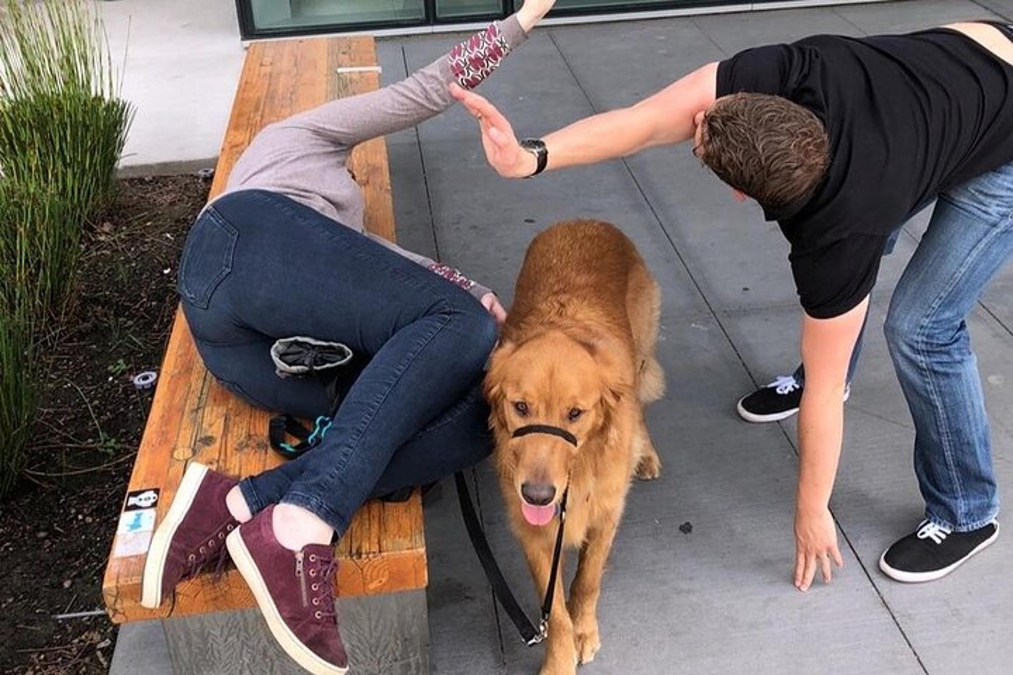 Anaheim Scavenger Hunt - Image 6