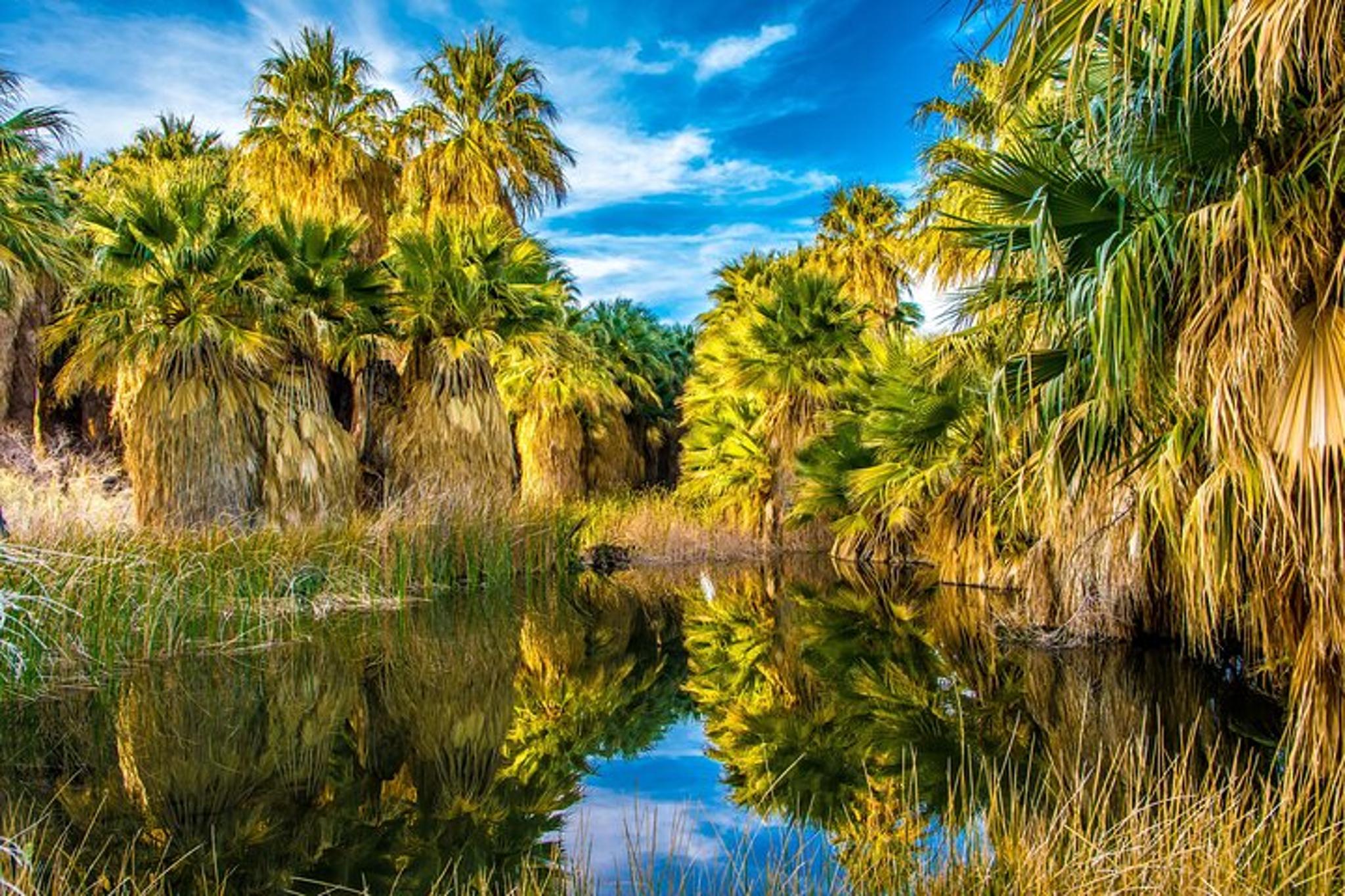 Palm Springs Self-Guided Driving Audio Tour - Image 6