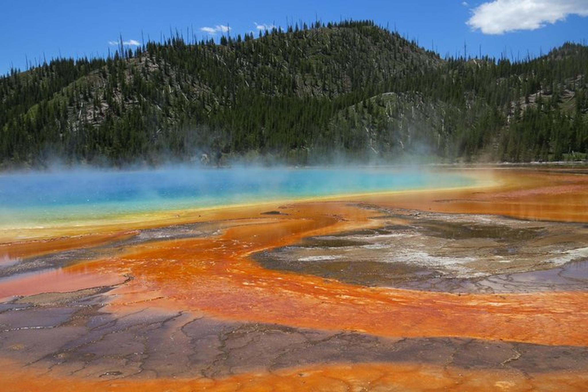 Yellowstone National Park Private Lower Loop Tour