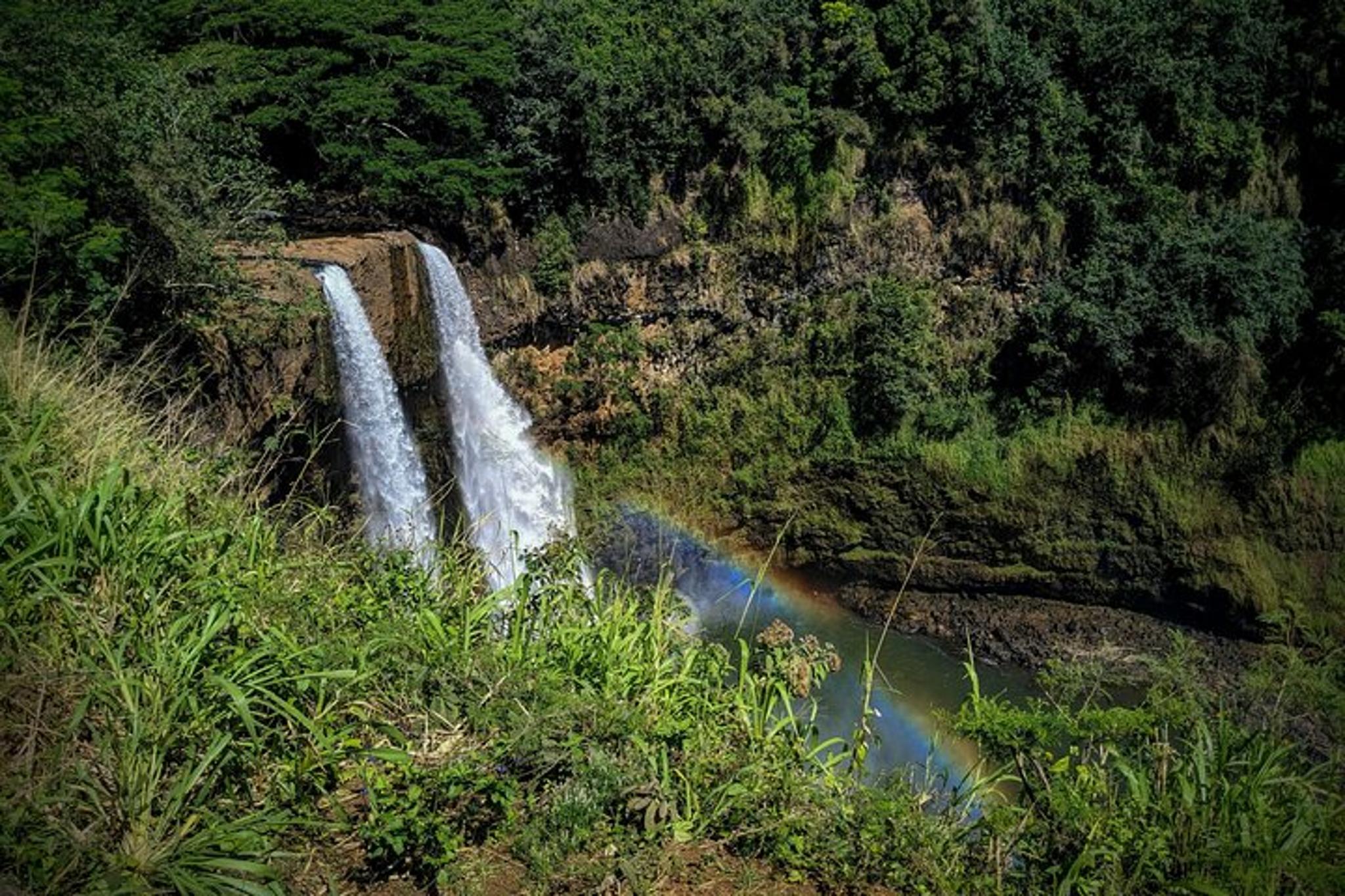 Kauai Private Guided Tour Waimea Canyon 8 hr - Image 4