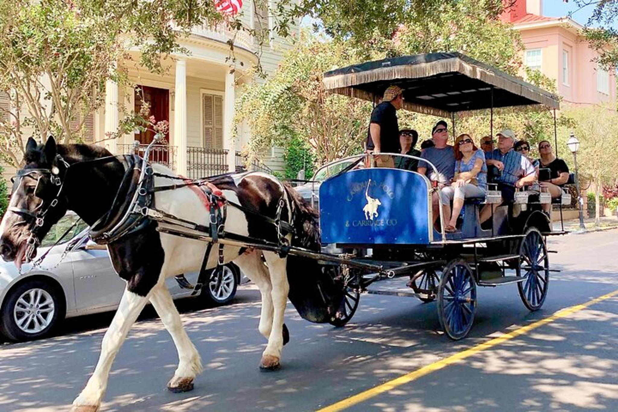 Charleston Horse & Carriage Historic Tour - Image 2