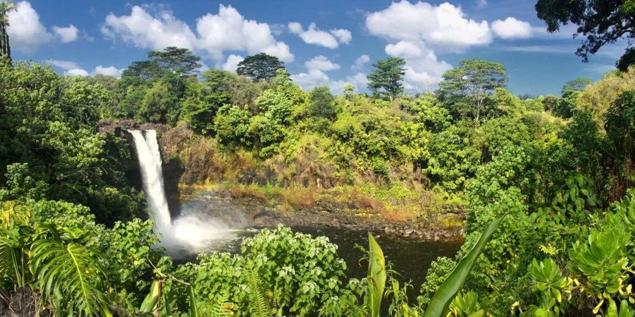 Hilo Volcanoes National Park and Waterfall Tour