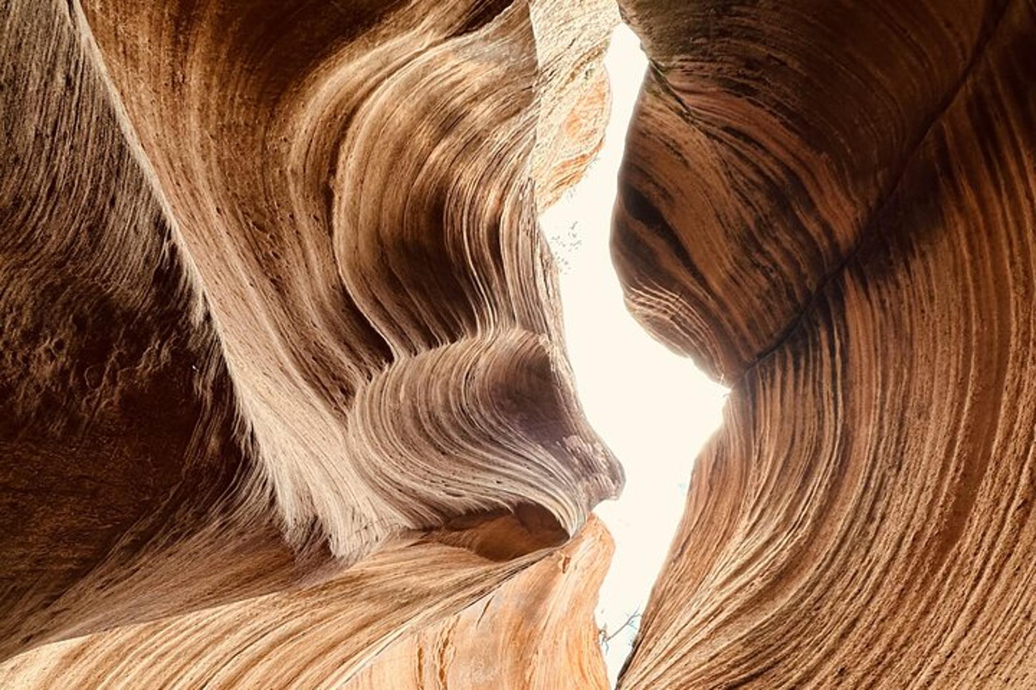 Buckskin Gulch Wire Pass Guided Hike - Image 2