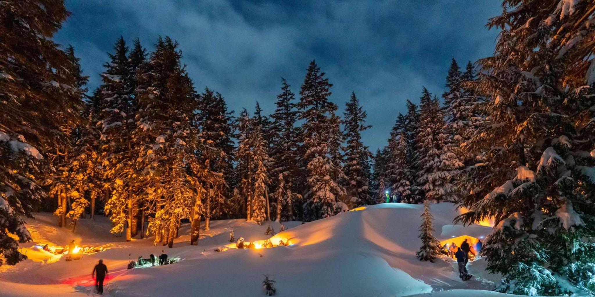 Bend Snowshoeing Tour and Bonfire - Image 1