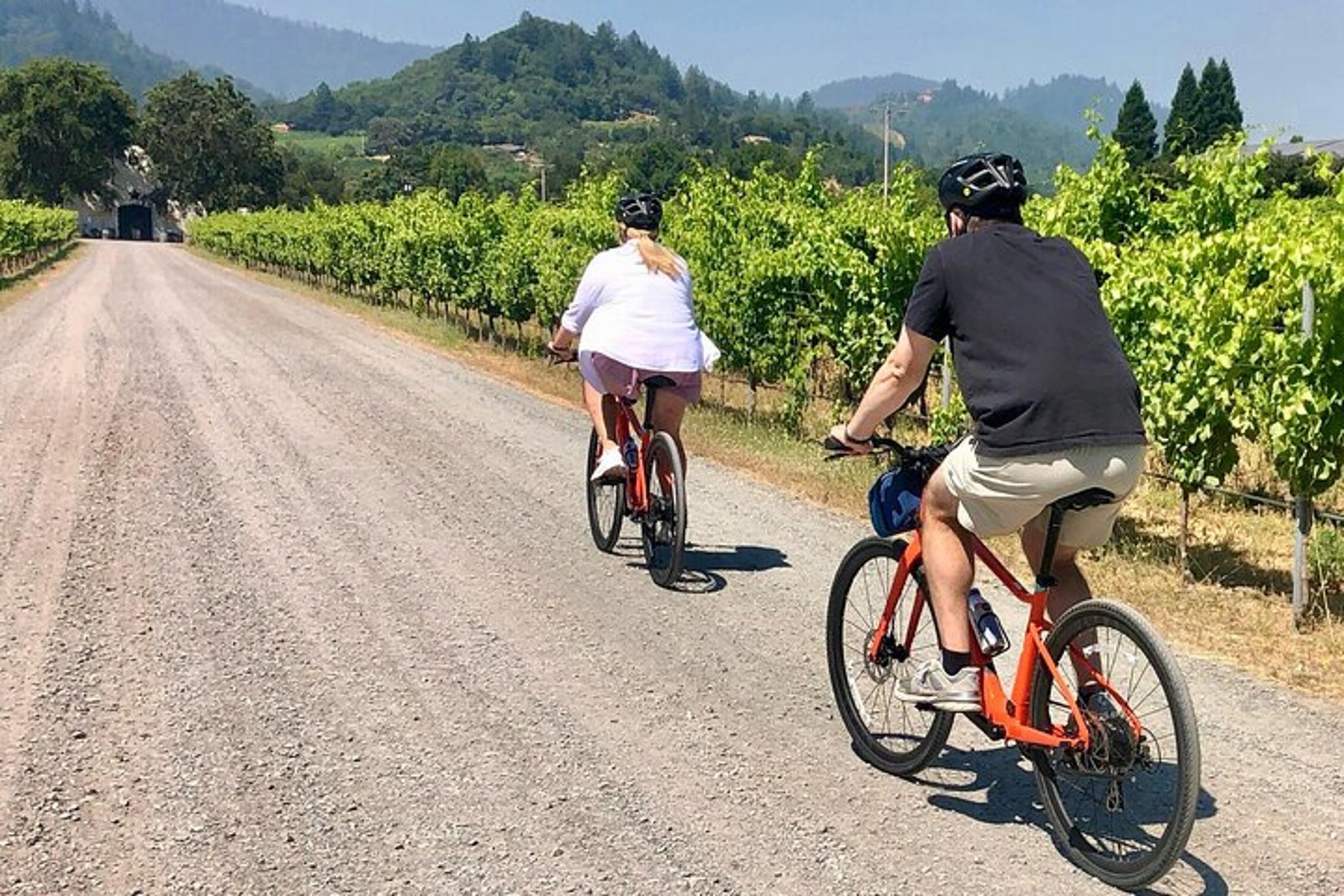 Healdsburg Wine Country Bike and Tasting Tour