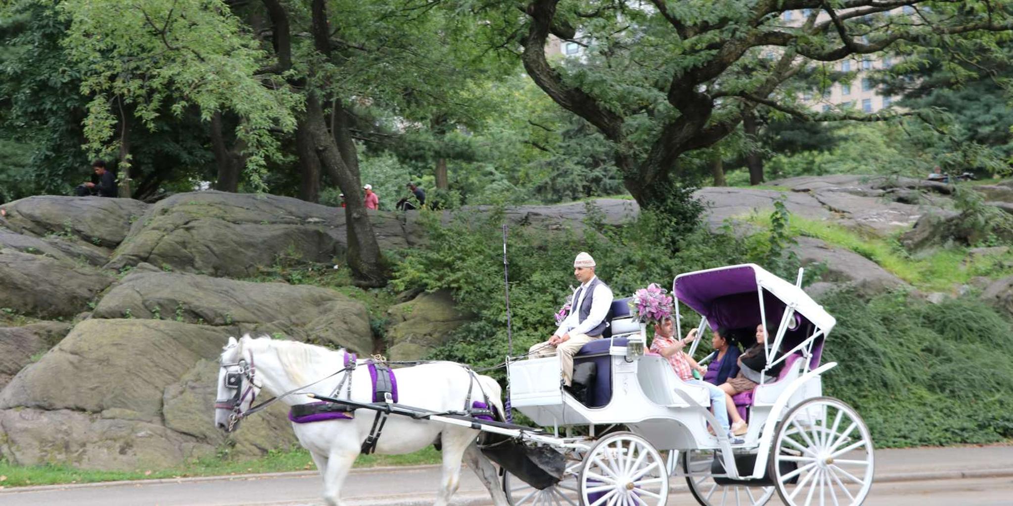 New York City Horse Carriage Ride in Central Park - Image 6
