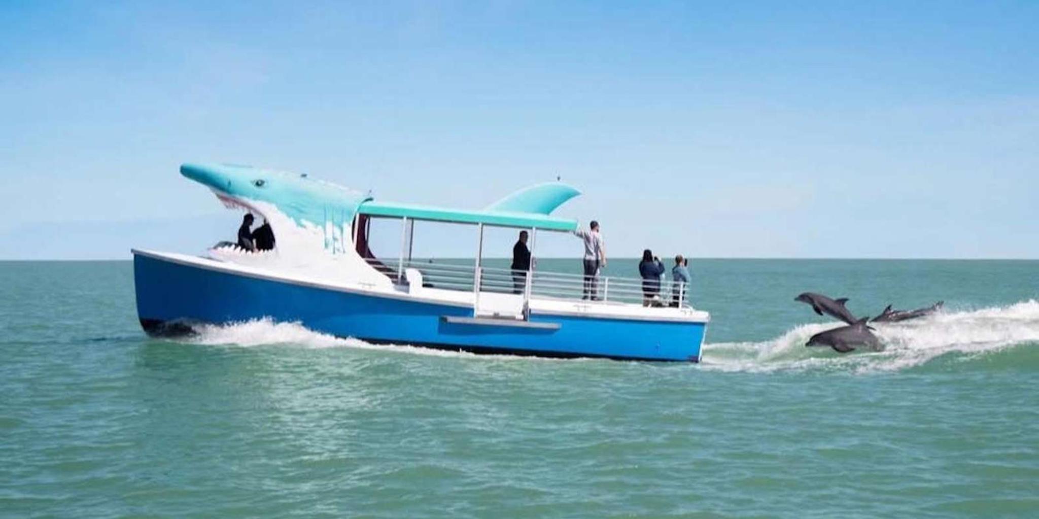 Destin Dolphin Watching and Sunset Cruise - Image 3