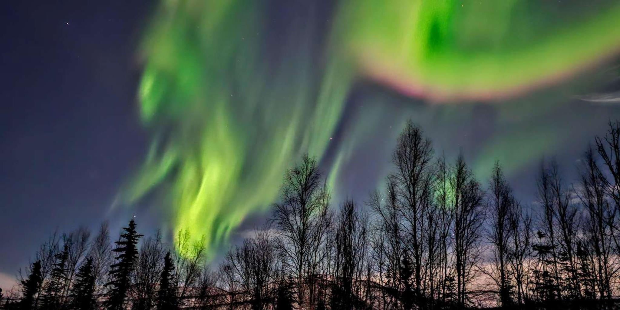 Fairbanks Northern Lights Private Tour 5 hr - Image 5