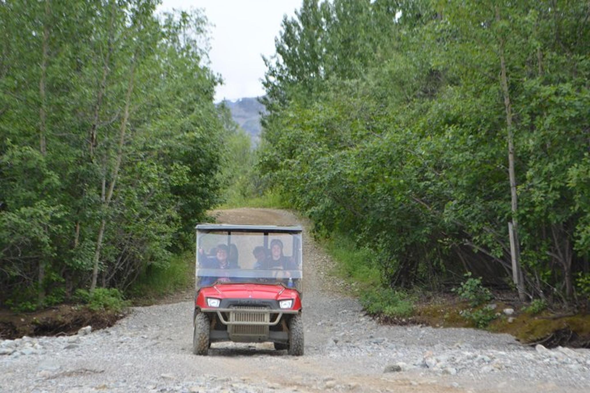 Healy Treasure Hunt Excursion with Backcountry Dining - Image 3