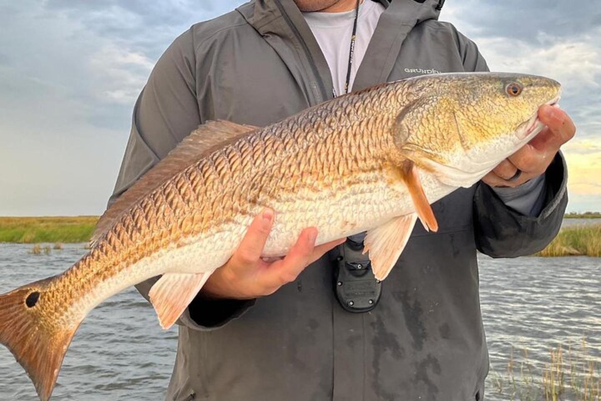 Sarasota Inshore Fishing Charter 5 hr - Image 5