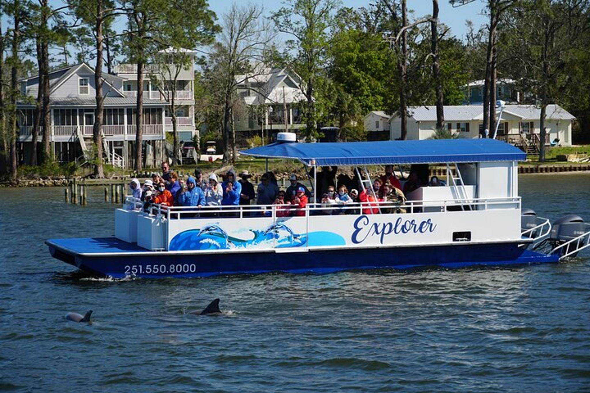 Orange Beach Dolphin Eco Boat Tour 90 Min