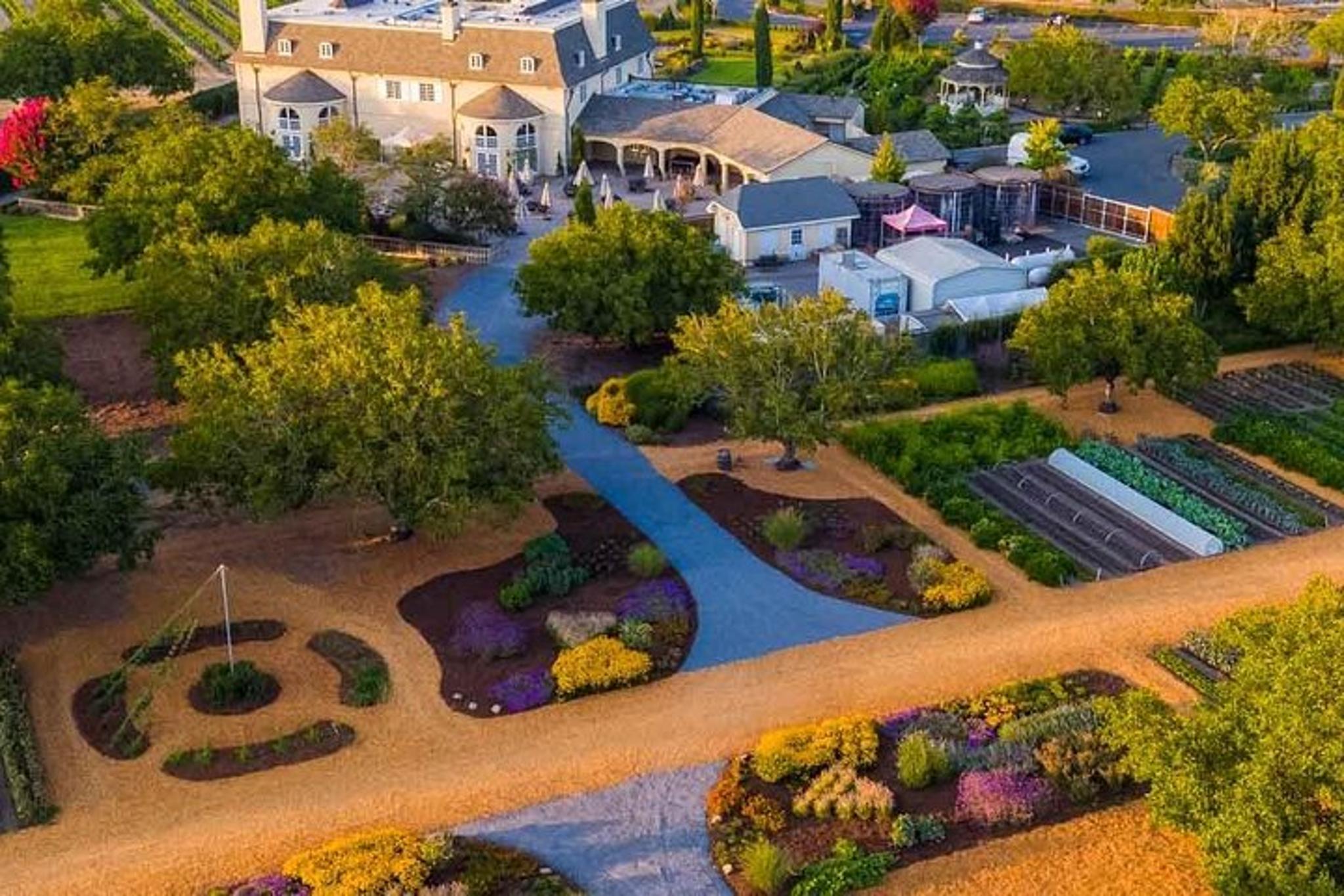 San Francisco Redwoods Tour with Winery Lunch - Image 5