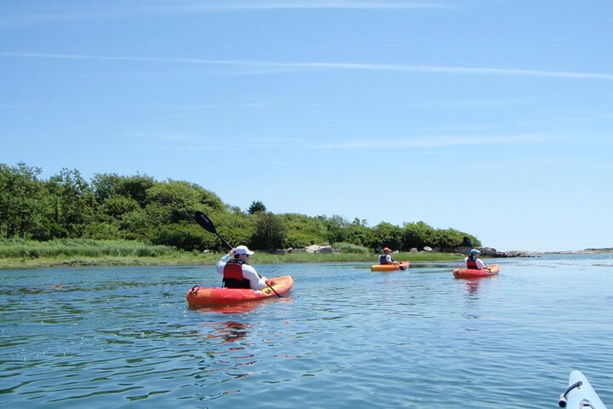 Fort Myers Beach SUP/Kayak Tour 1 Hour - Image 2