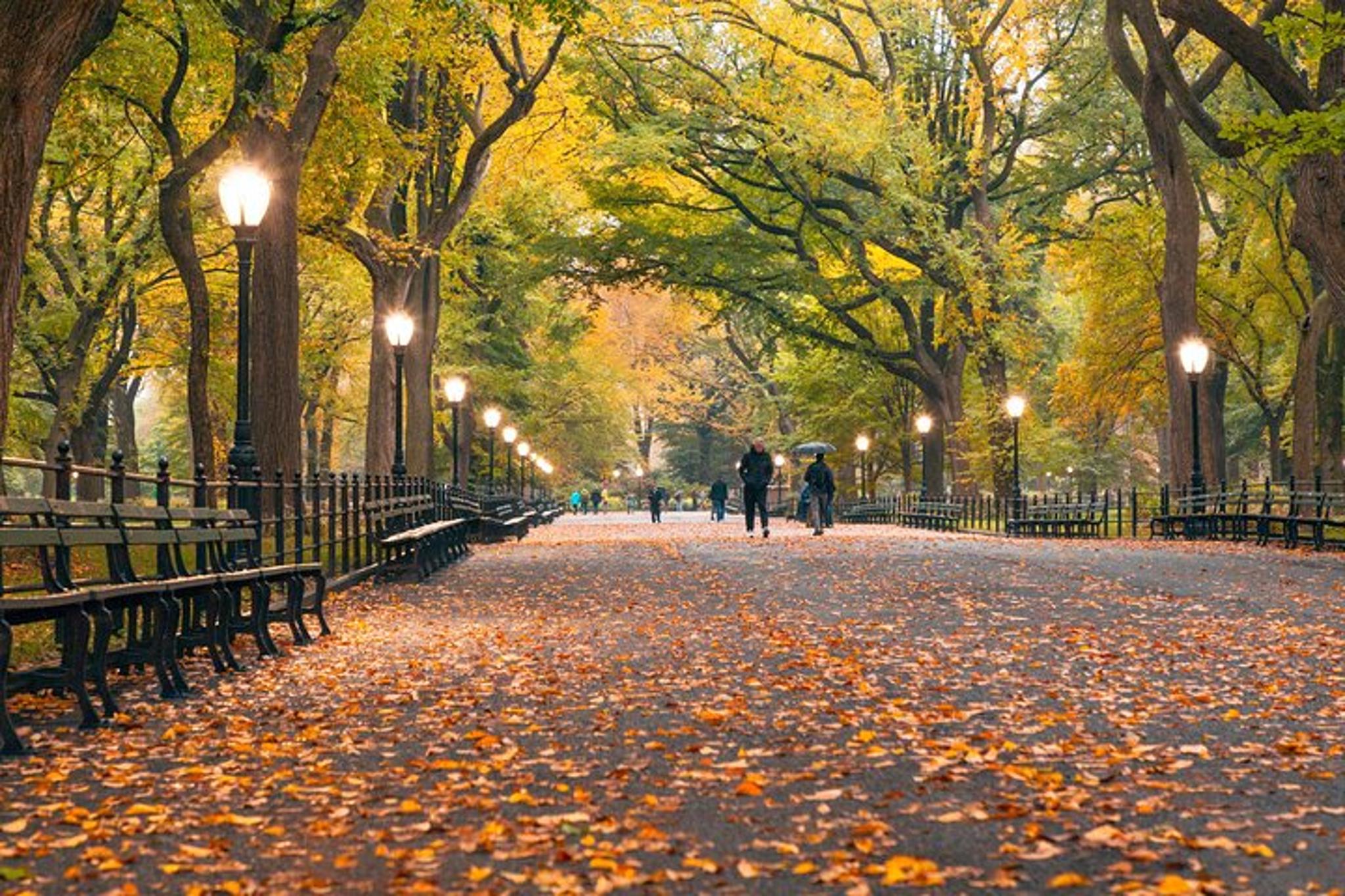 New York City Central Park Movie Walking Tour - Image 2