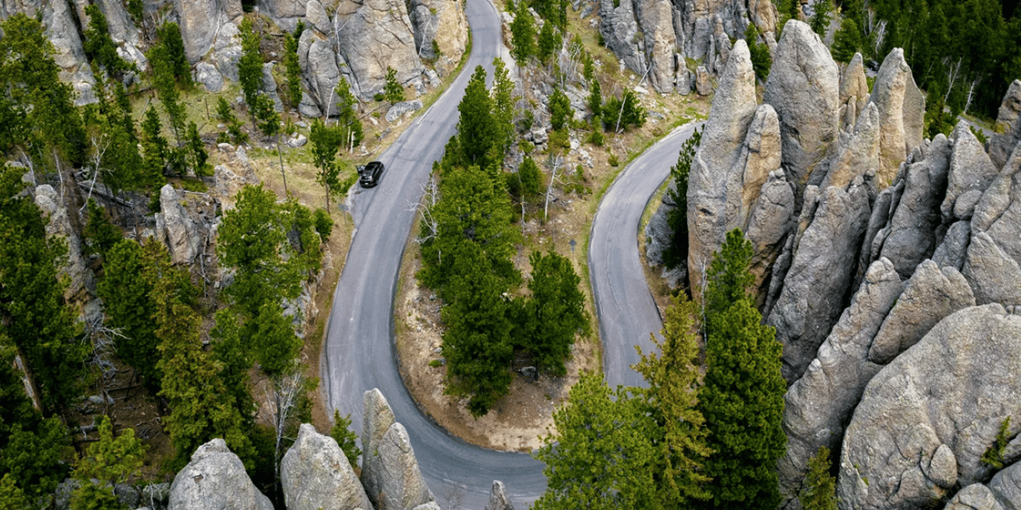 Rapid City Custer State Park and Needles Highway Tour