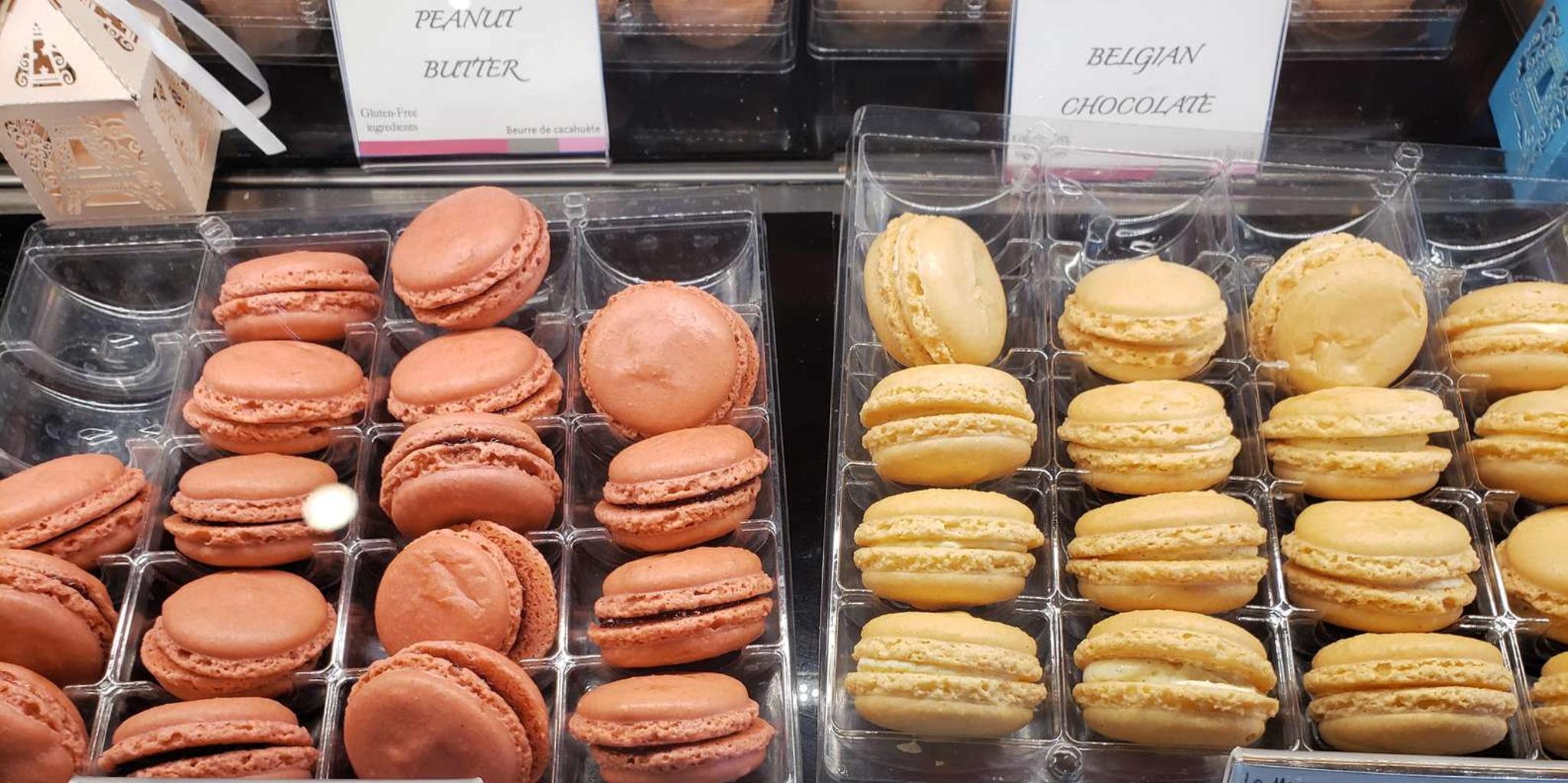 St. Augustine Golf Cart and Sweet Walking Tour - Image 4