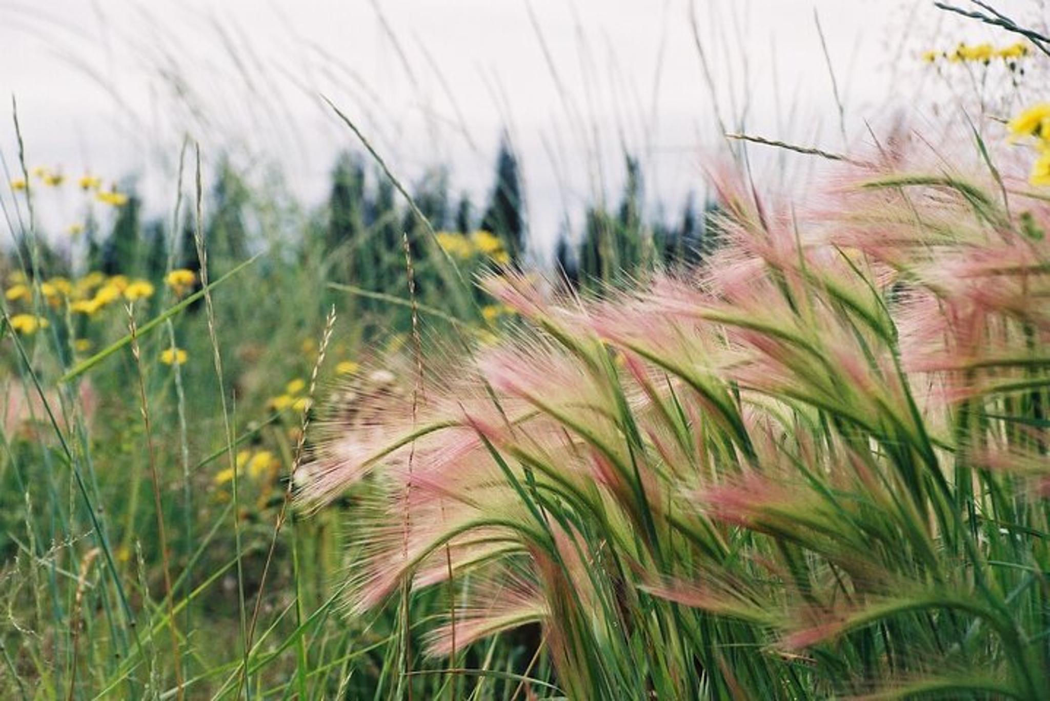 Denali Park Tour from Fairbanks - Image 5