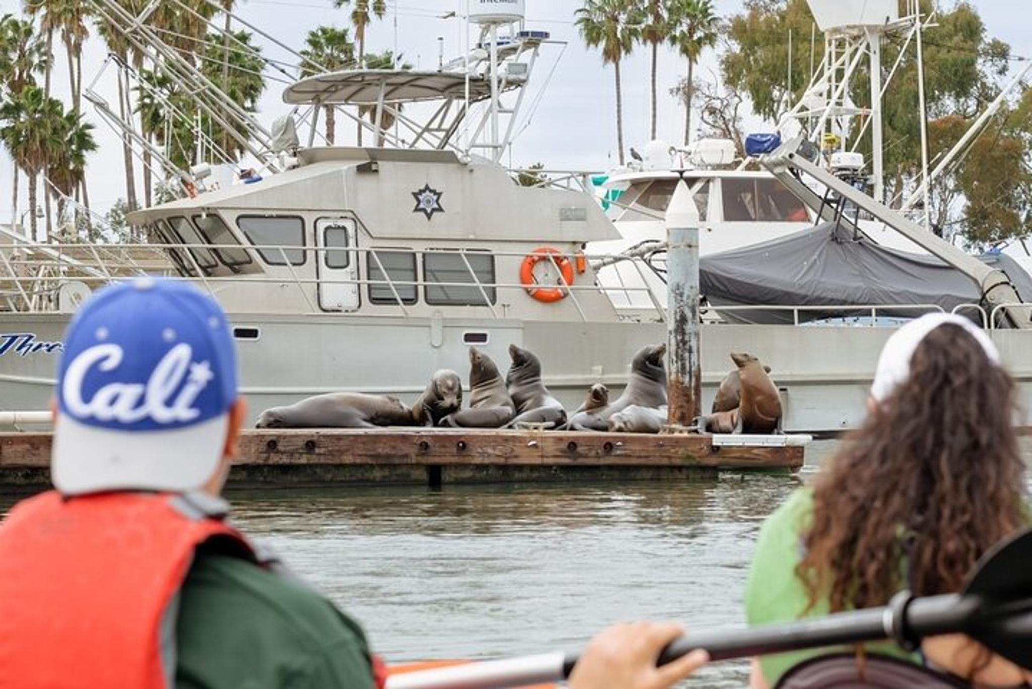 Dana Point Kayak and Hike - Image 6