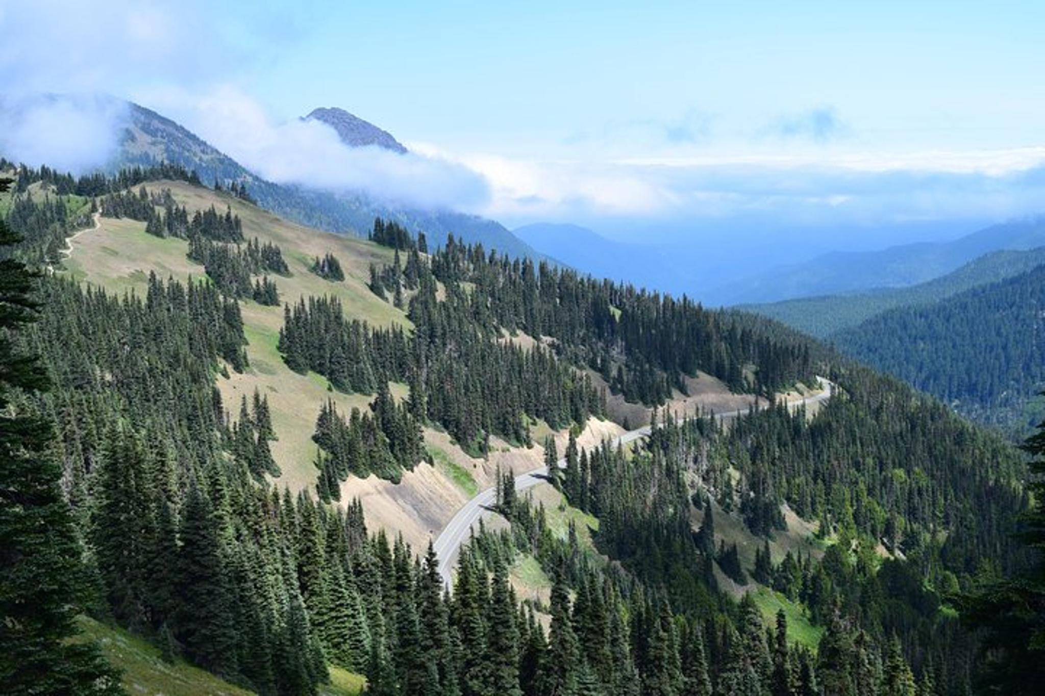 Olympic National Park Guided Tour - Image 6