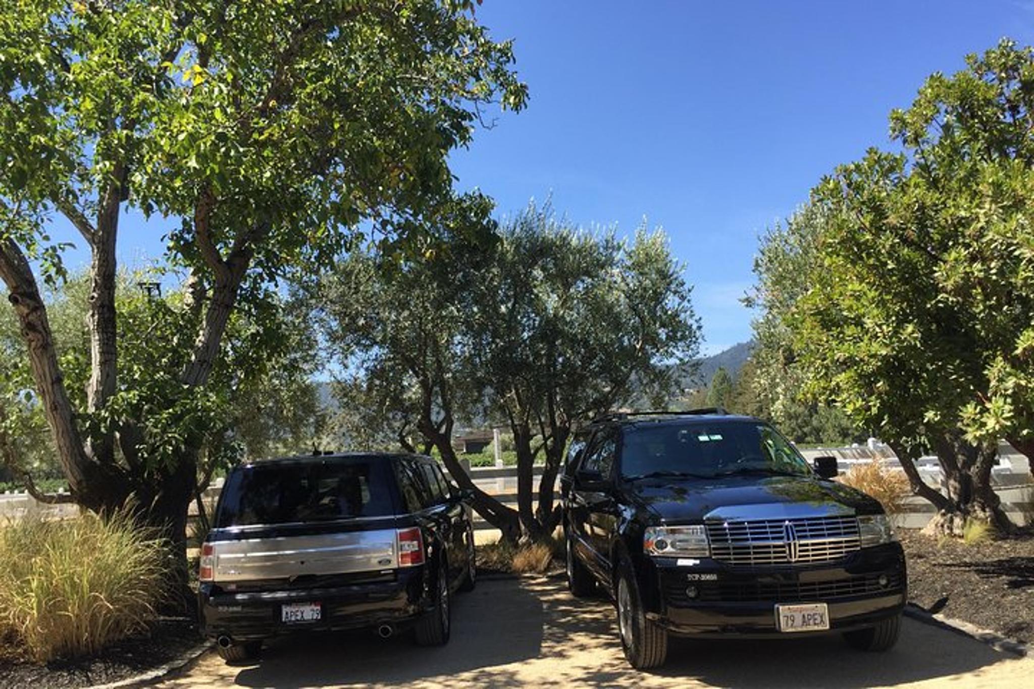 Napa Valley Wine Country Tour in SUV 6 hr