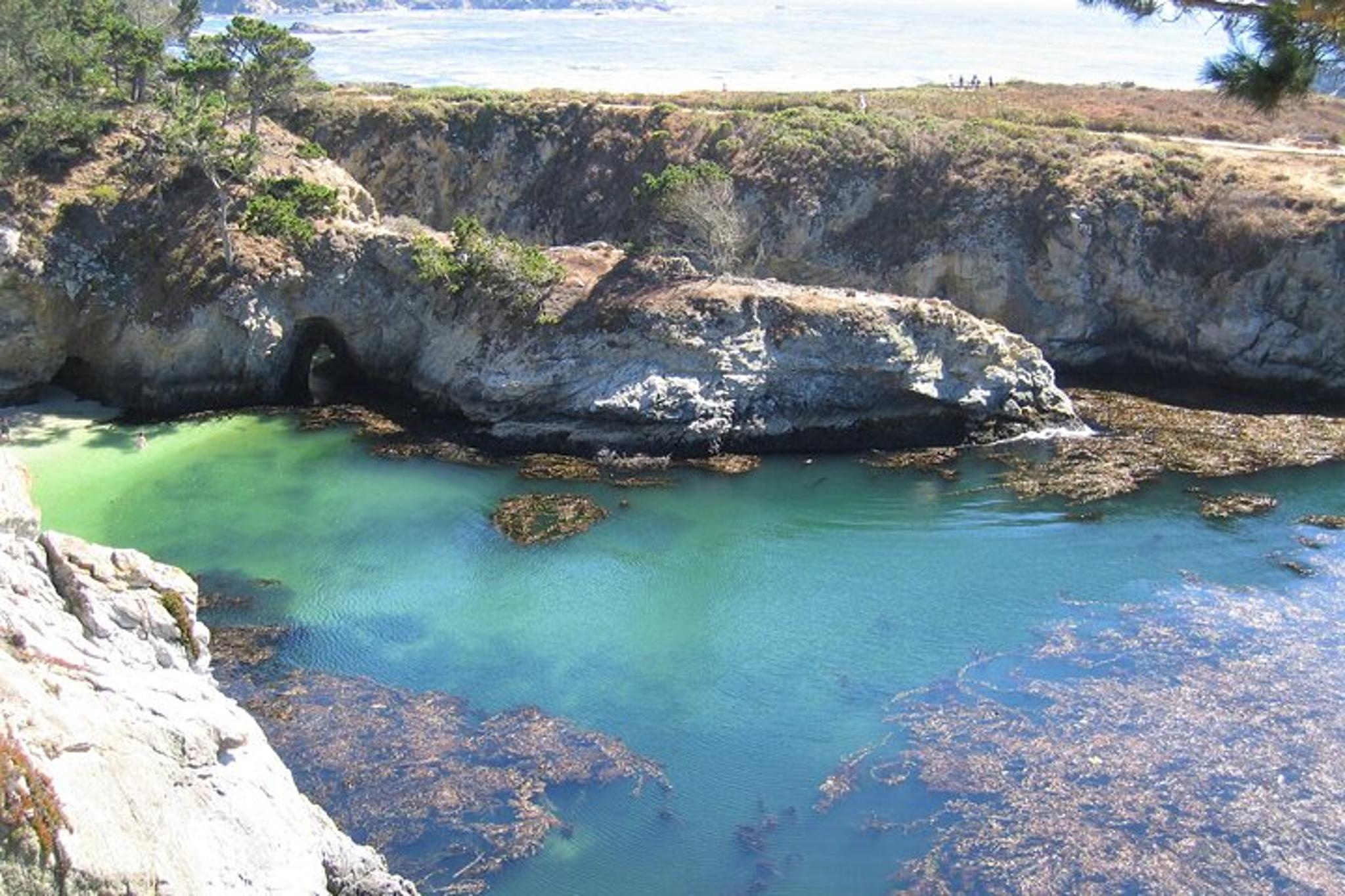 Point Lobos Nature Walk 2 hr
