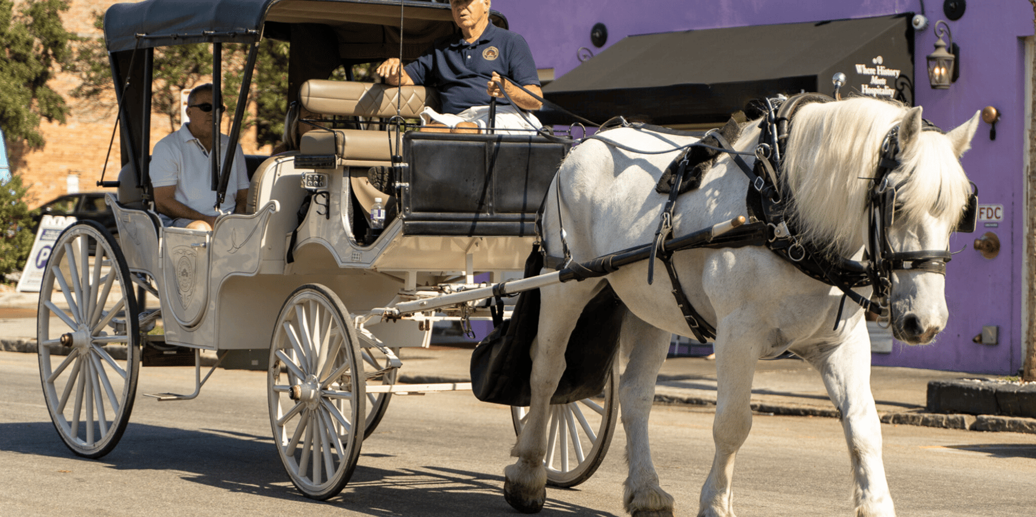 Charleston Horse-Drawn Carriage Tour