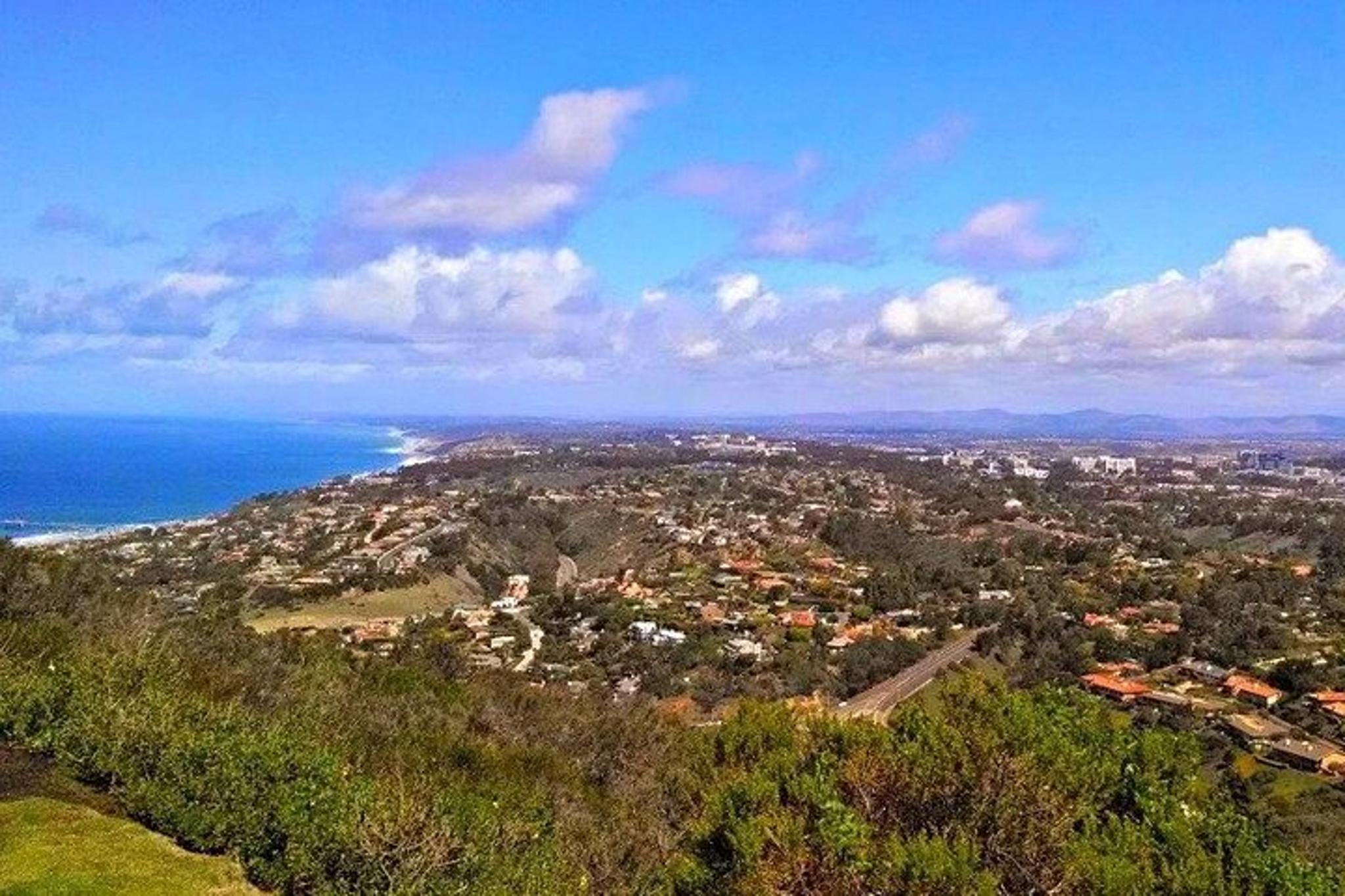 La Jolla Coastal Electric Bike Tour - Image 6
