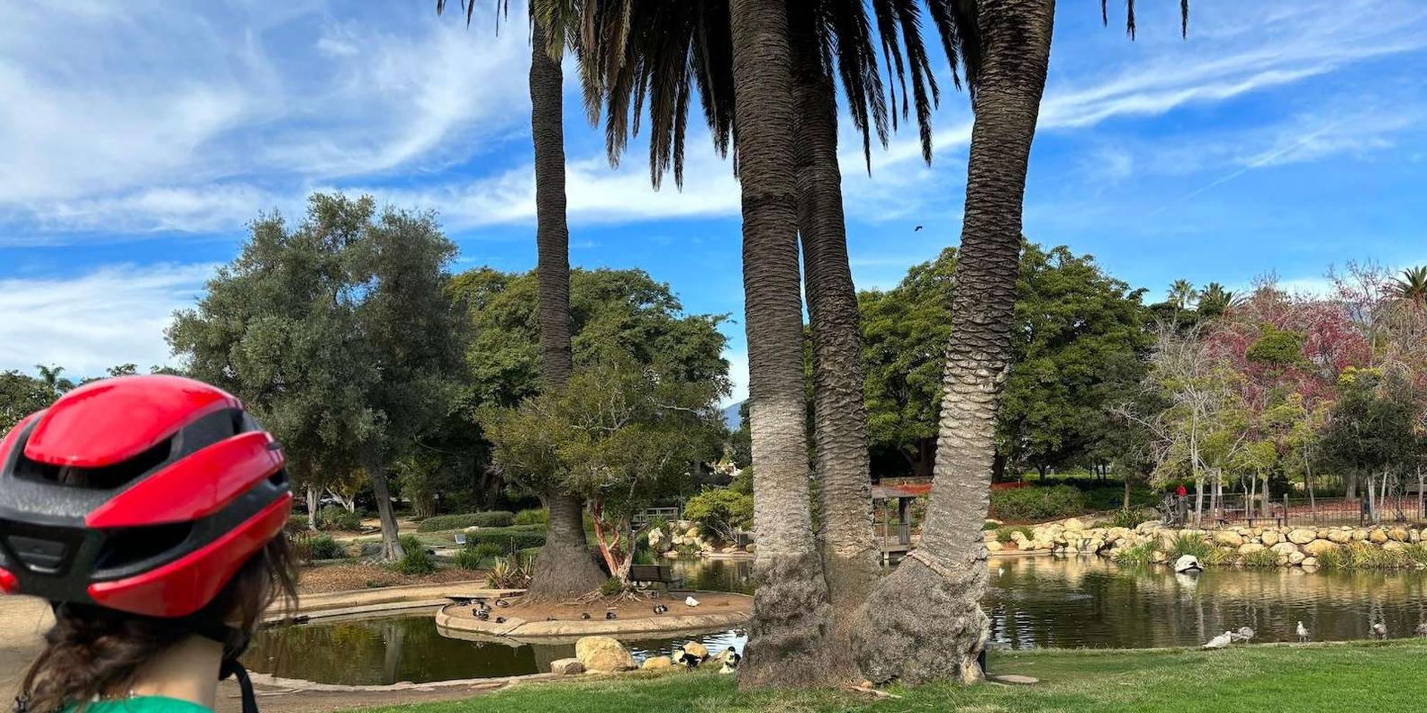 Santa Barbara E-Bike Taco Tour - Image 3