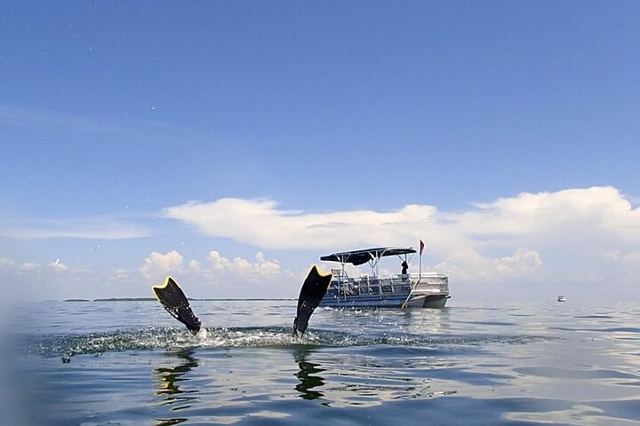 Crystal River Scallop Hunt with In-Water Guide - Image 2