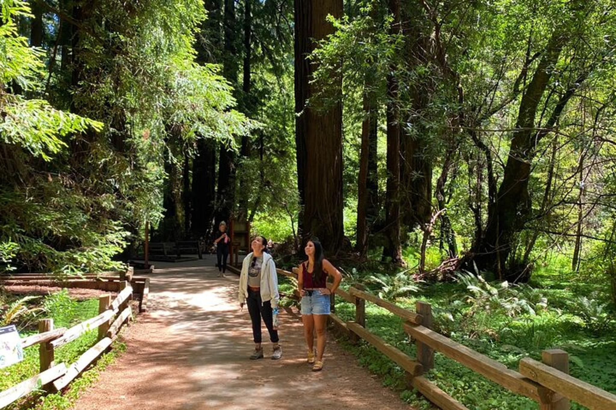 San Francisco Muir Woods Tour with Golden Gate Stops - Image 6