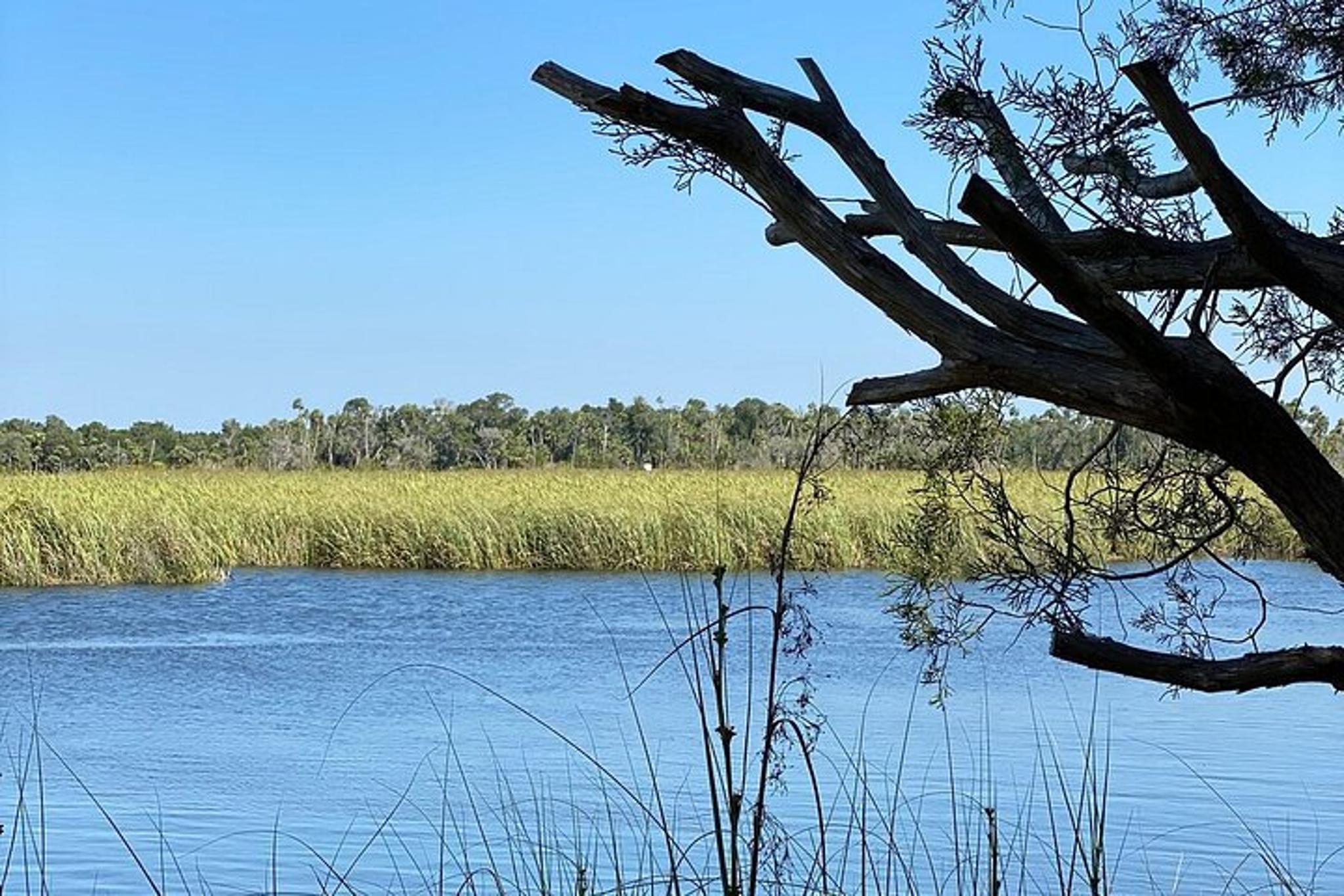 Crystal River Pontoon Boat Rental - Image 4