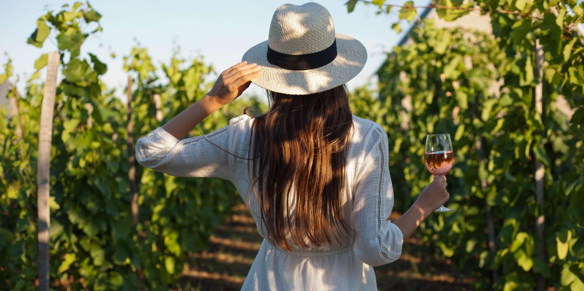 Tucson Wine Tour in Elgin 6 hr - Image 3