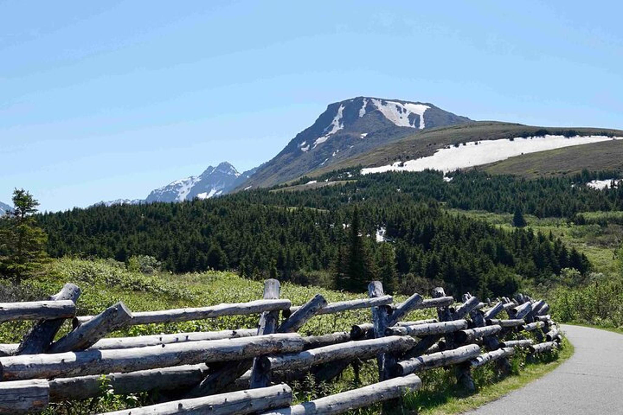 Anchorage Scenic Turnagain Arm Glacier Tour - Image 3