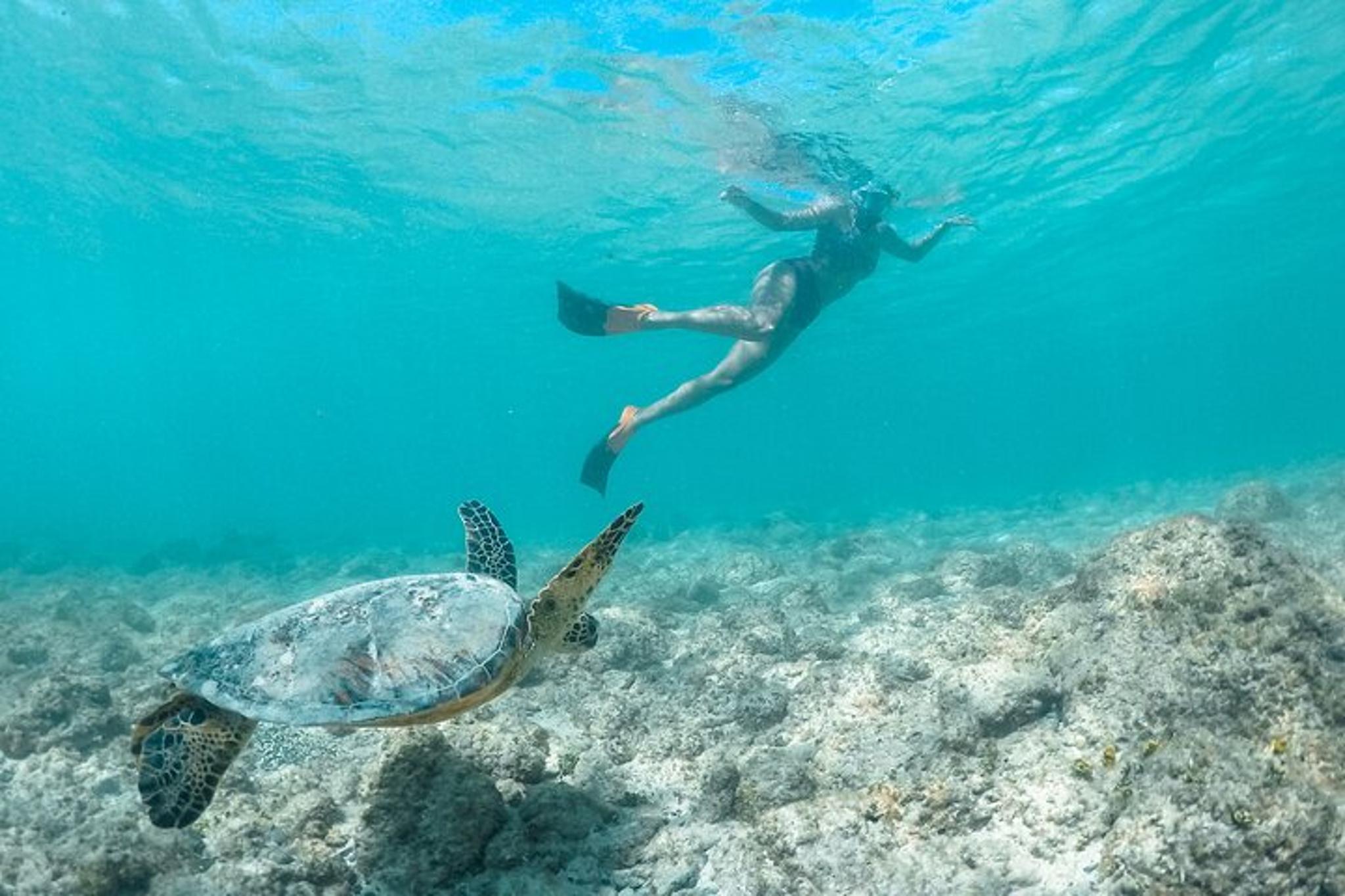 Kailua Bay Kayak and Snorkel Adventure - Image 6