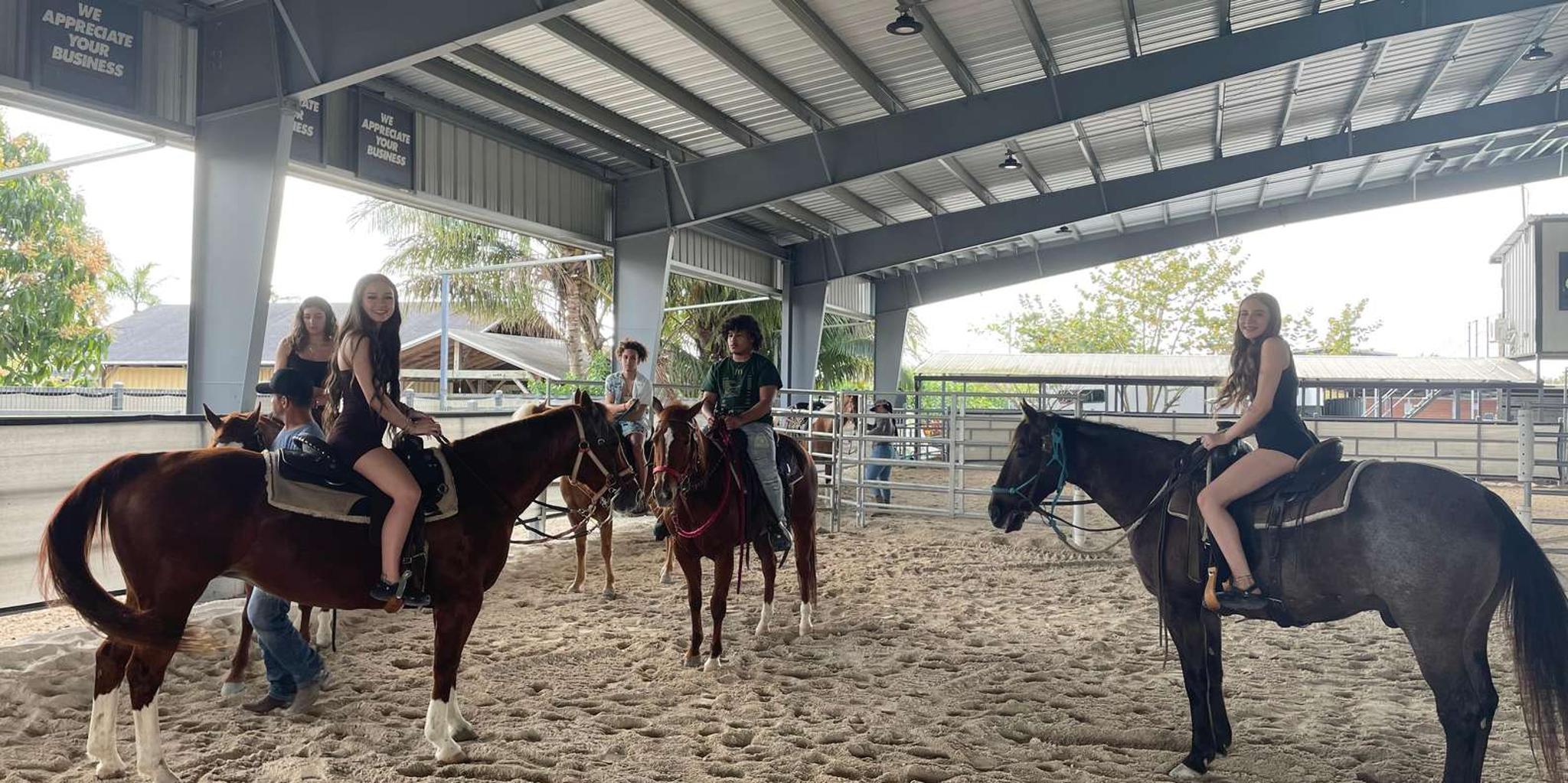 Miami Horseback Riding Tour