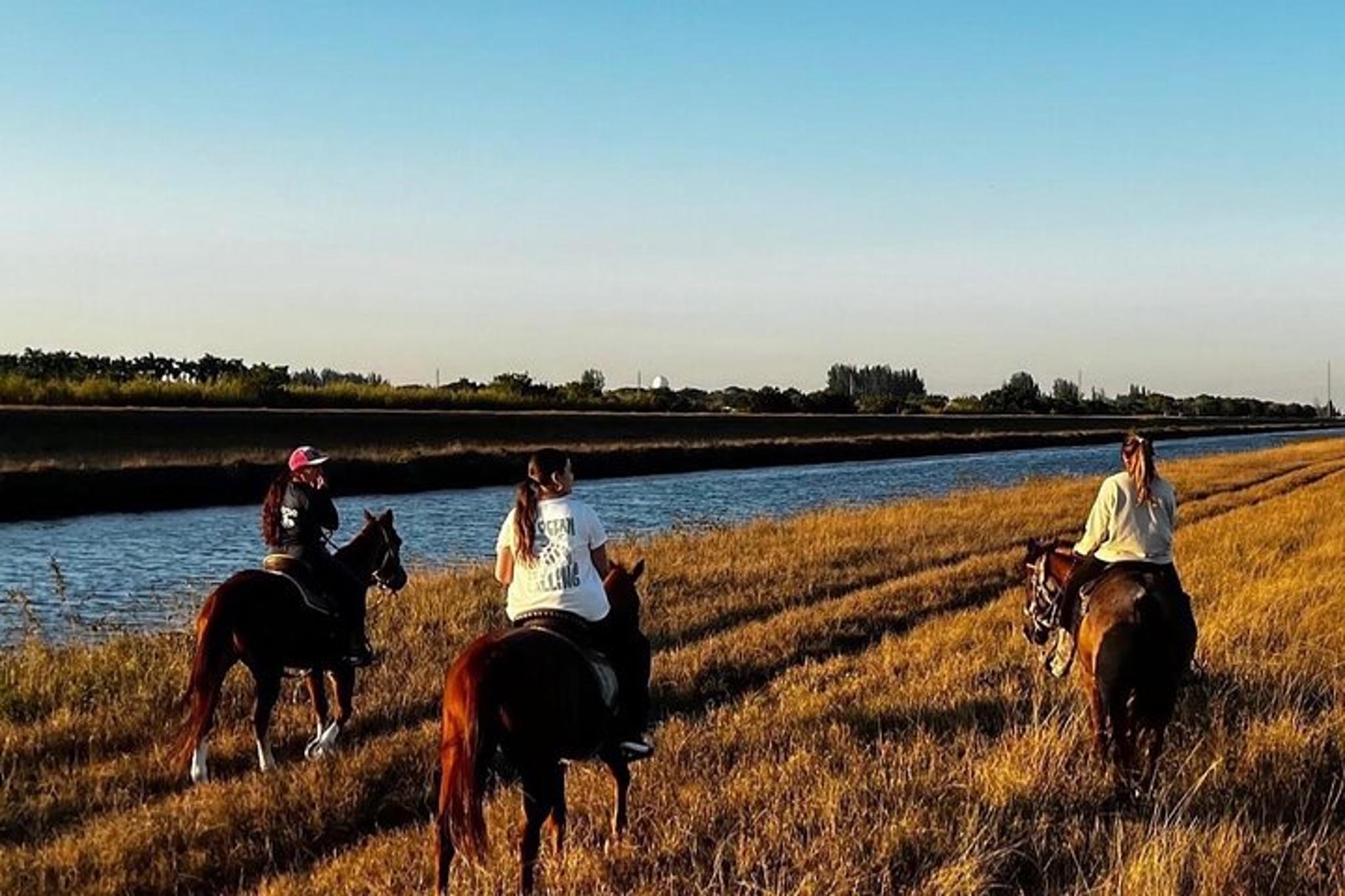 Miami Horseback Riding