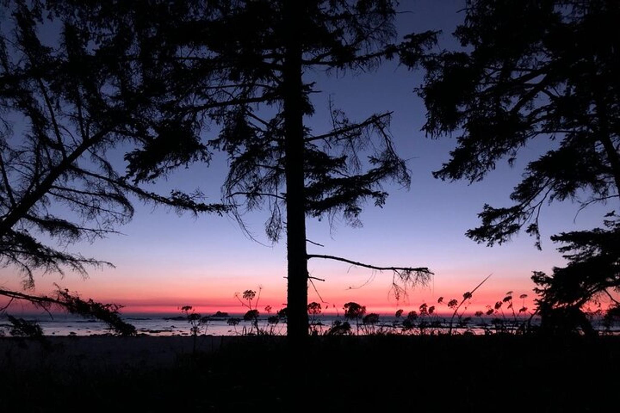 Olympic Backpacking Tour in North Coast 4-Day - Image 3