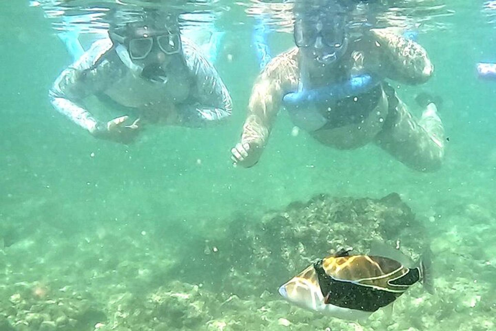 Waikiki Snorkeling Tour with Free Video & Pics 1 hr - Image 4