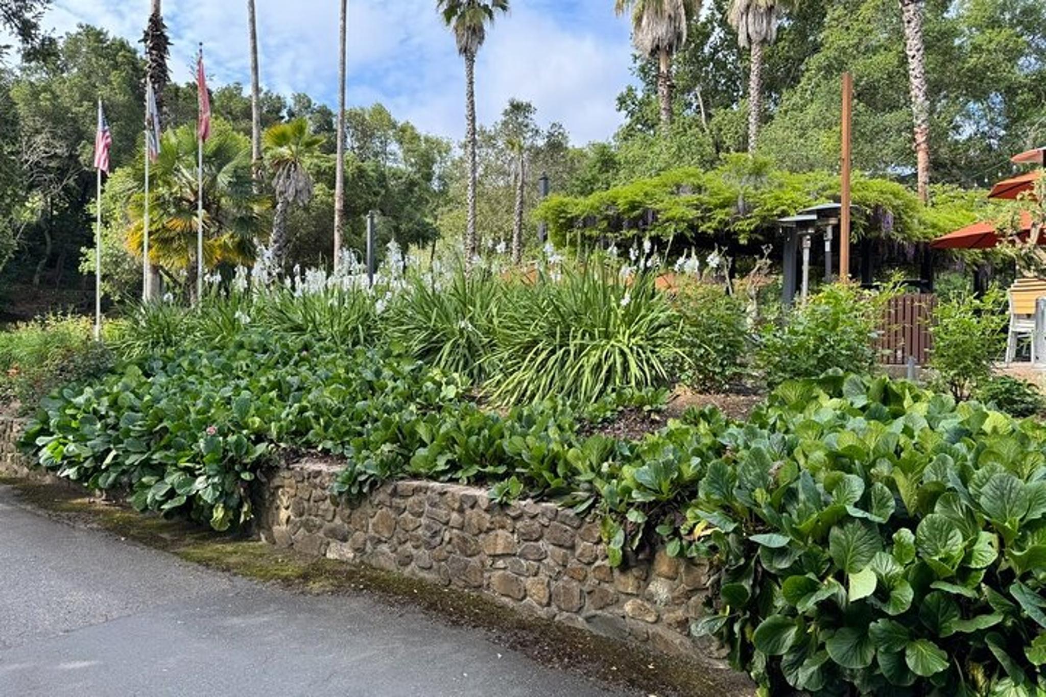 Sonoma Wine Tour Private Black Car 6 hr - Image 4