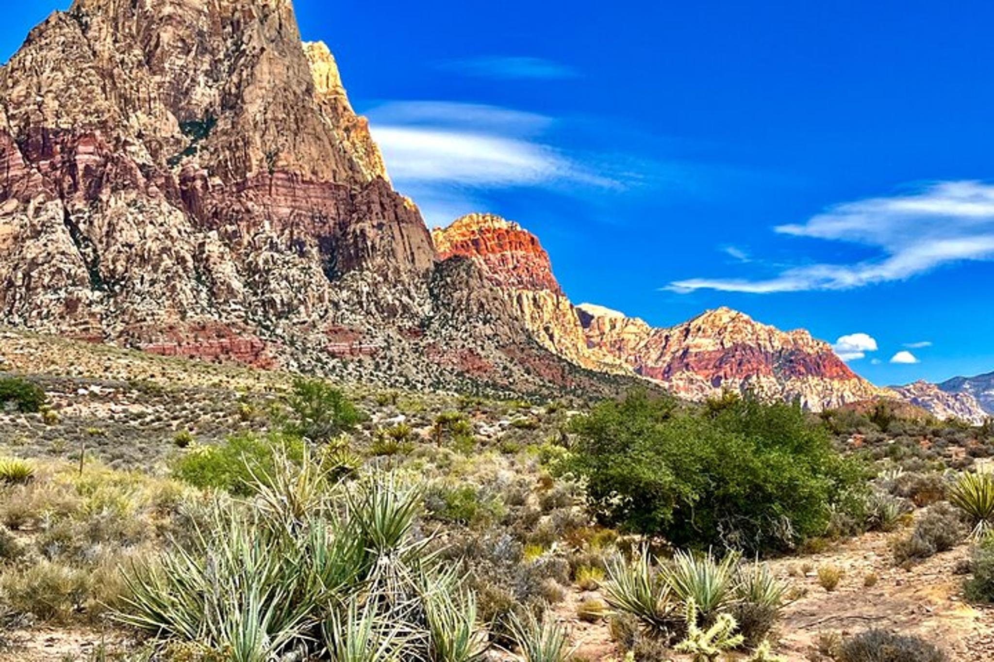 Las Vegas Red Rock Canyon Tour - Image 6