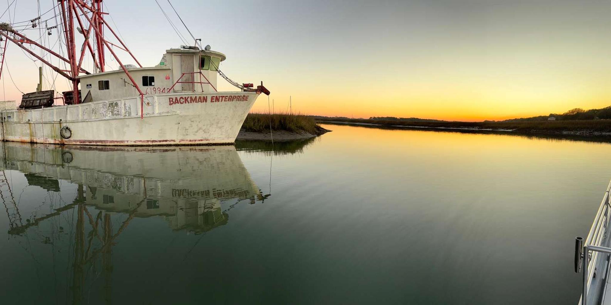 Charleston Dolphin Cruise BYOB 1.5 hr - Image 1