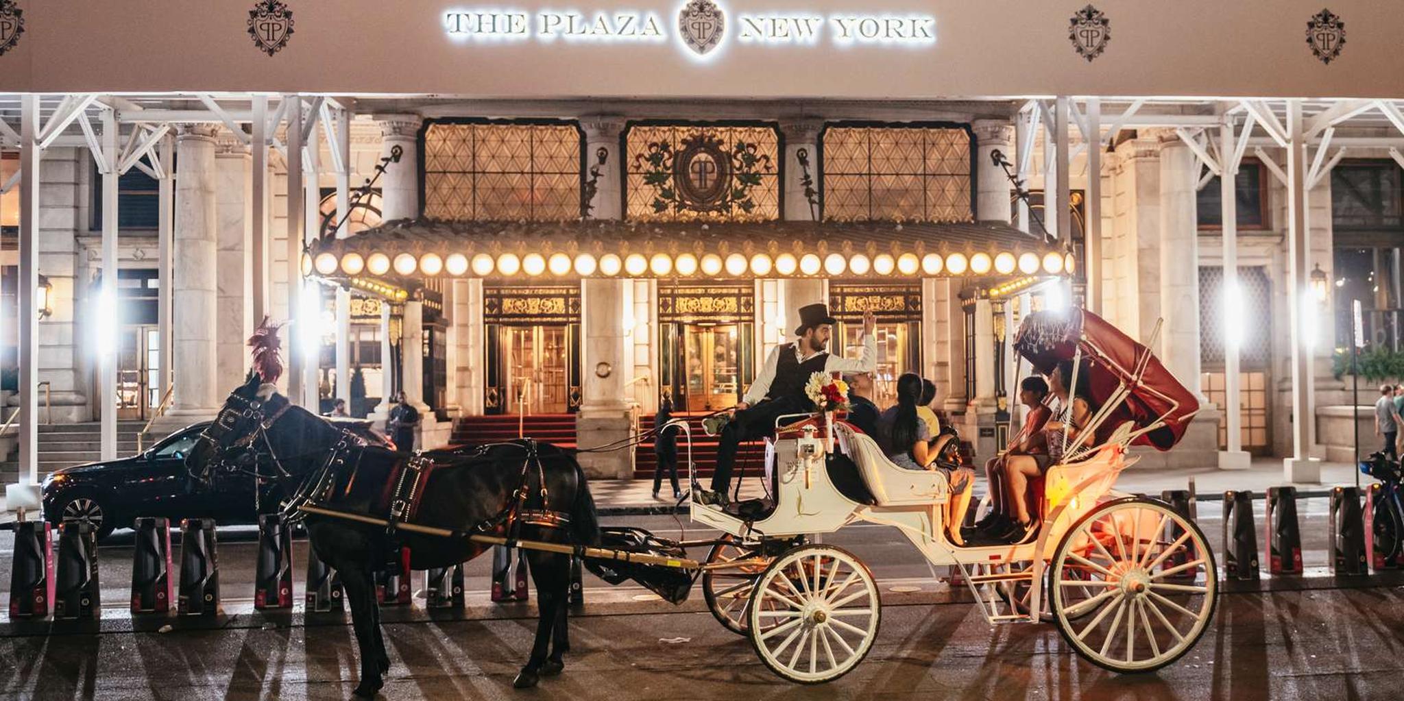 New York City Carriage Ride through Central Park, Rockefeller & Times Square - Image 3