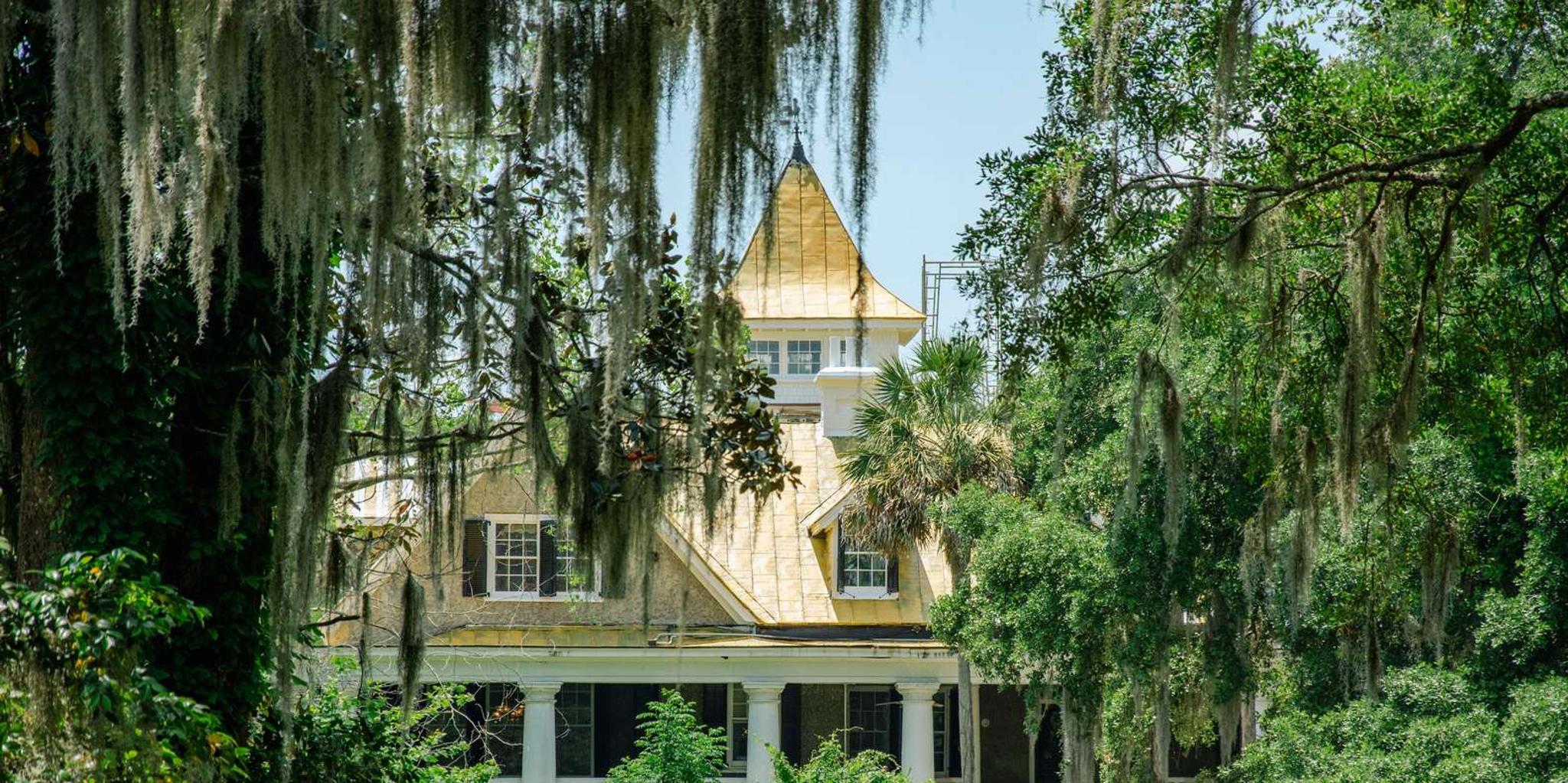 Charleston Magnolia Plantation Tour with City Highlights