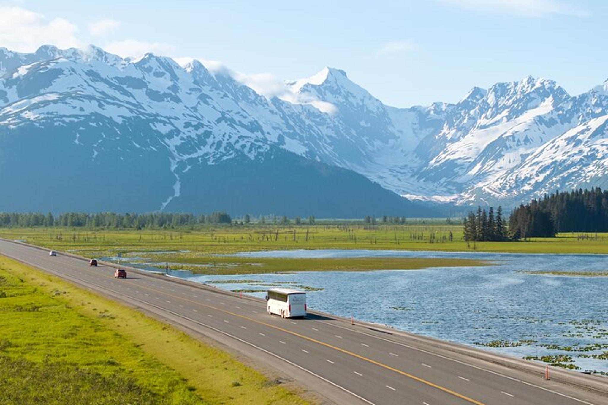 Anchorage Seward Wildlife Adventure 4 hr - Image 3
