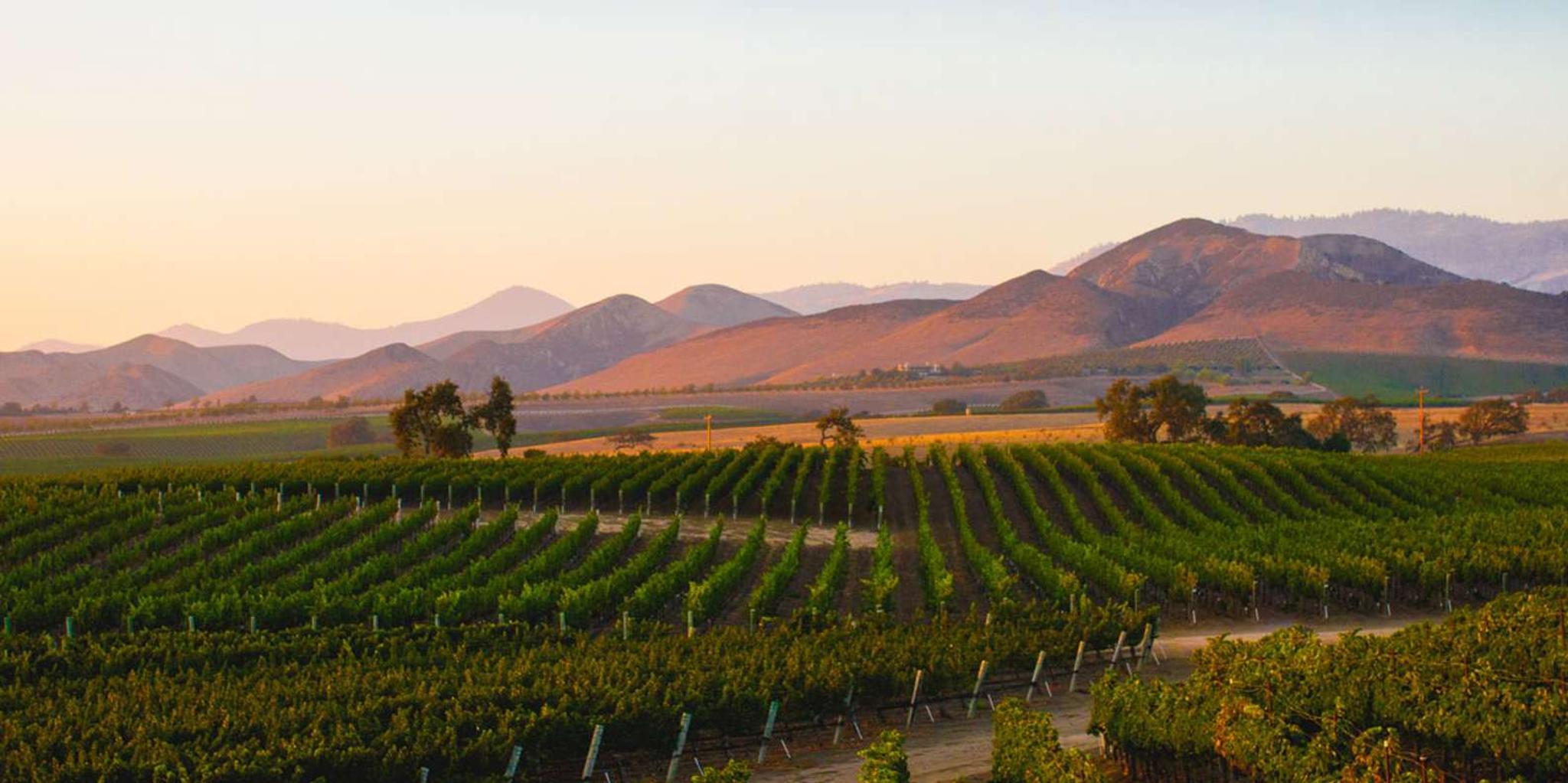 Santa Ynez Cupcake & Wine Tour - Image 3