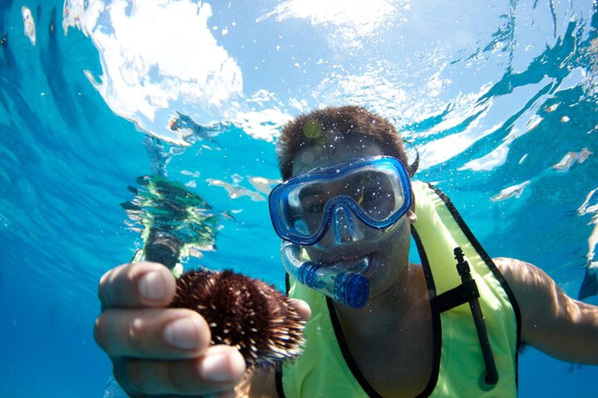 Kawaihae Sealife Snorkel Adventure 3 hr