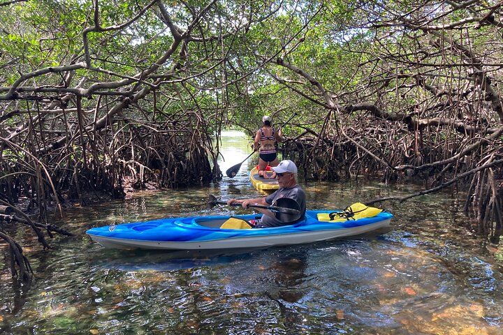 St. Petersburg Kayak Rental to John's Pass Sandbar - Image 3